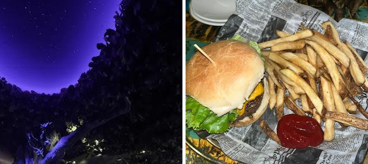 Rainforest Cafe
