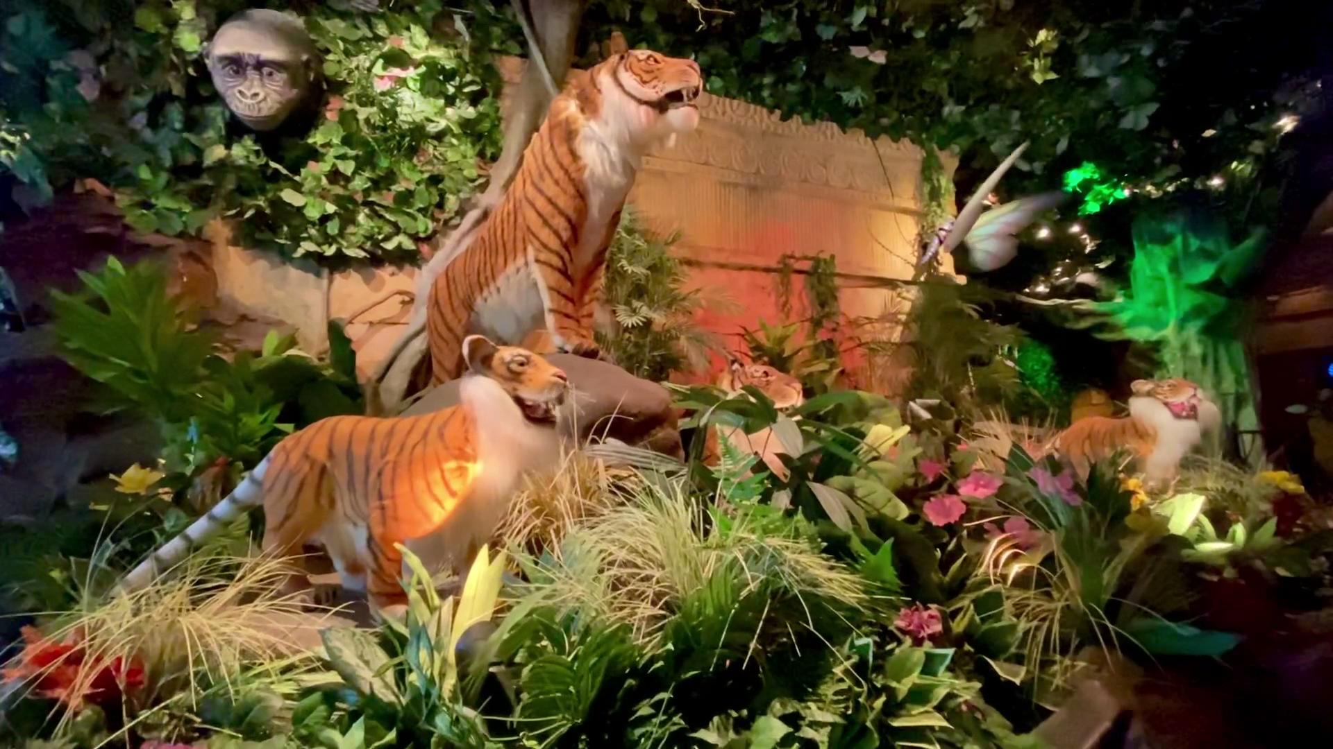 Rainforest Cafe