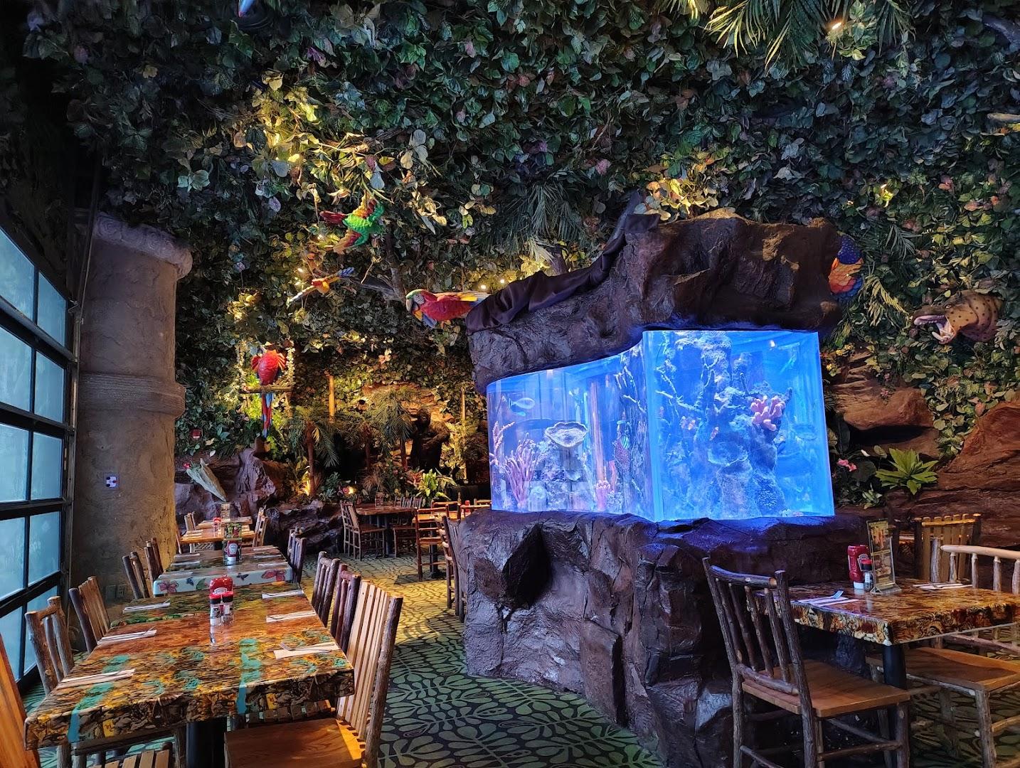 Rainforest Cafe