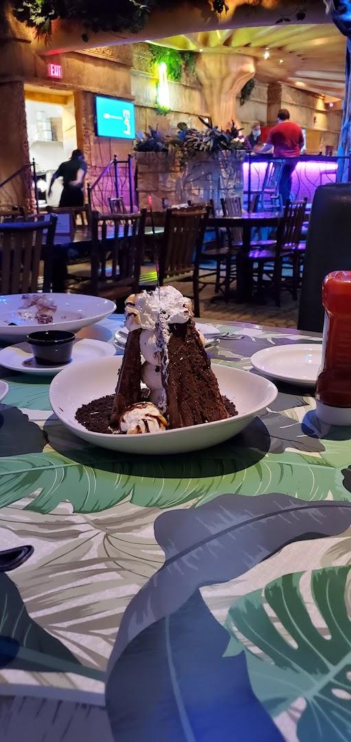 Rainforest Cafe